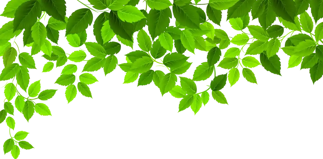 background leaves